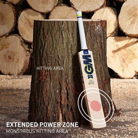 GM Prima 505 Cricket Bat-English Willow – Sportswing.in