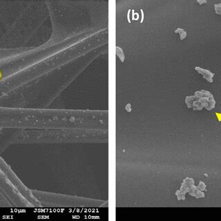 Image result for TiO2 Pfotes Sebs