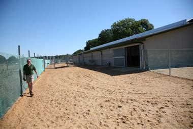 ZooLex Image - Roof overhang for shade