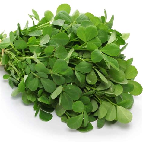 Fenugreek Leaves Substitute: Know Your Options for Authentic Flavors ...