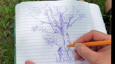 Image result for How to Draw Trees