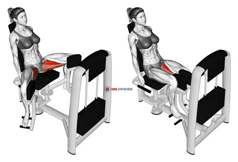 Lever Seated Hip Adduction (female) - Home Gym Review