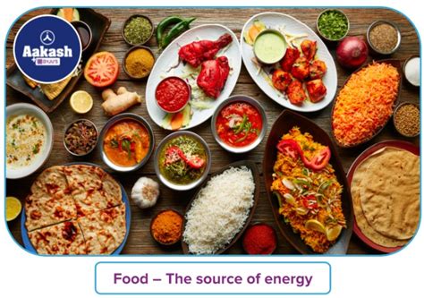 Polysaccharides – Introduction, Characteristics, Classification ...