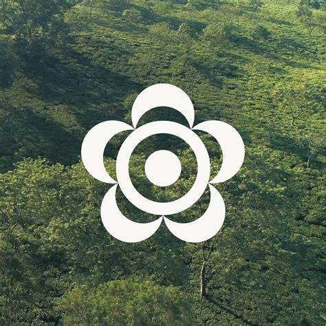 Shop All - Makaibari: Exquisite Organic Tea Collection – Makaibari Tea