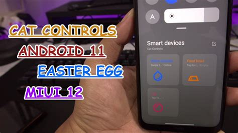 Cat Controls Easter Egg Android 11 di MIUI 12 Android 11 Menu Control Center