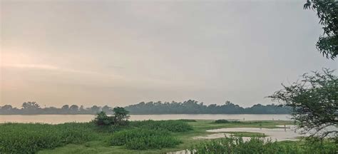 Sirpur Wetland: From Ruination To Ramsar Site Designation | Nature inFocus