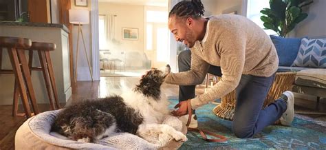 Librela for Pet Owners | Zoetis Petcare