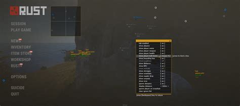 Rust ESP Hack 的图像结果