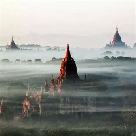 Image result for Muksa Arduino