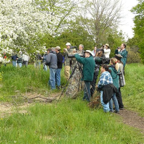 Birds and Birding in Chicago, 1800 S Prairie Ave, Chicago, IL, United ...