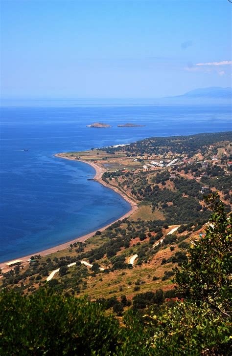 Fincan da kek, Firina sebzeli tavuk Çandarlı-Turkiye 5 | SOFRAMIZ.com