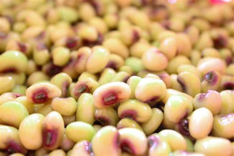 How to Cook and Season Southern Purple Hull Peas - SmartyPantsKitchen