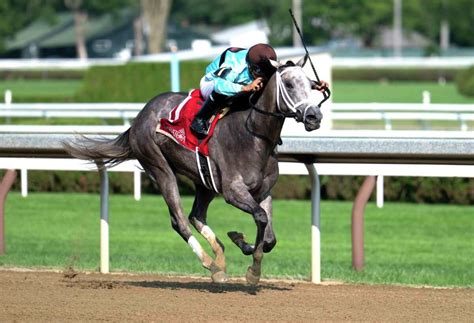Saratoga Race Results Equibase - YASWZY