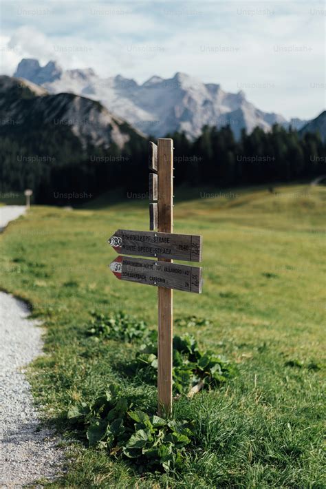 Image result for Sign Generator