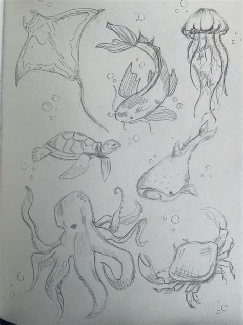 Sea Creature Drawings