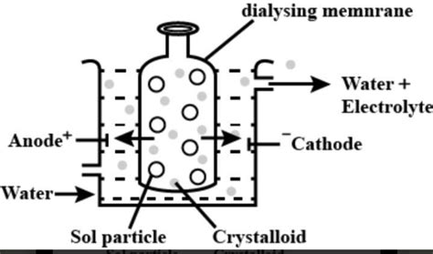 Describe the purification of a colloidal solution by dialysis method ...