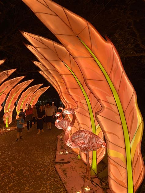 Jacksonville Zoo Bursts with Life at Colors of the Wild - Global Traveler