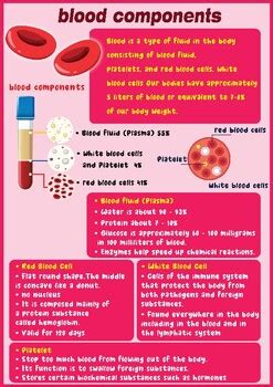 Free Science Lessons Blood 的图像结果