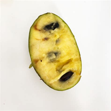 Fresh Paw Paw Fruit | Pacific Wild Pick