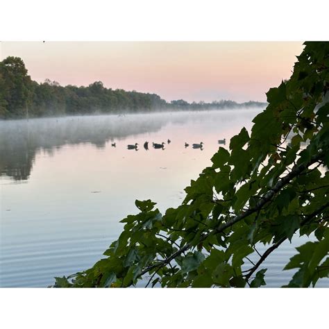 TrailHead Creative on LinkedIn: Duck hunting is magical and incredibly ...