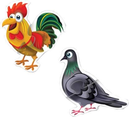 HEAD & TAIL - BIRDS – Edu Toys