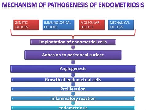 ENDOMETRIOSIS | PPTX