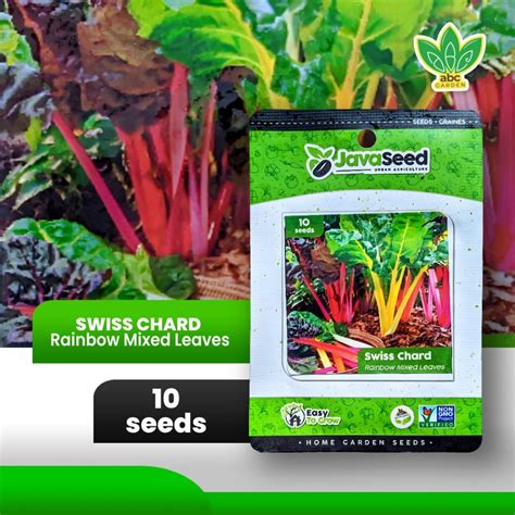 Jual [10 Seeds] Benih Daun Pelangi Import Swiss Chard Rainbow Mixed ...