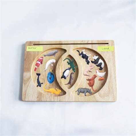 Compare and Contrast Venn Diagram Tray / Sensory Plate / Montessori tr