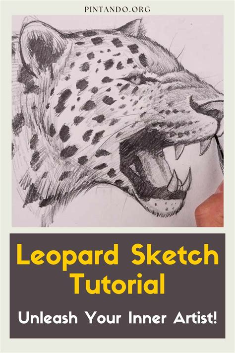 Leopard Sketch Tutorial: Unleash Your Inner Artist! - Pintando.org