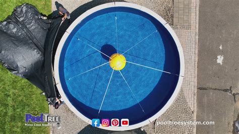 Image result for Pool Tree System