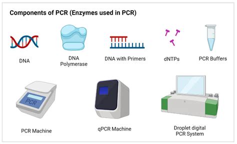 PCR Testing Definition 的图像结果
