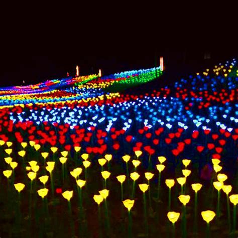 Glowing LED Rose Bed | Romantic Garden Décor - Shop Now – Glow Garden