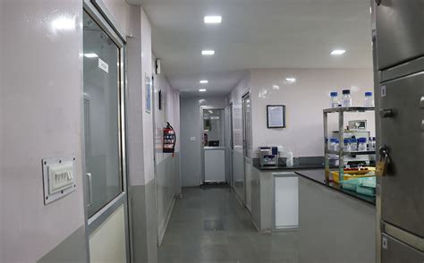 Schon Pharmaceuticals Limited