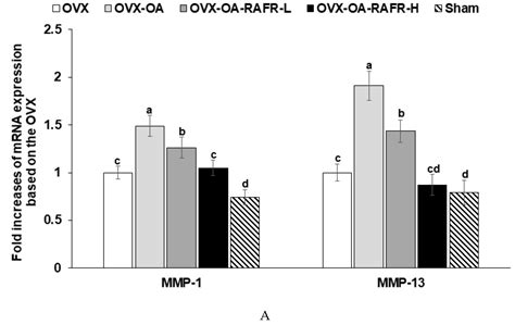 Rice Porridge Containing Welsh Onion Root Water Extract Alleviates ...