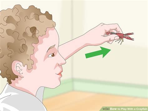 Image result for Crayfish Redstone Tutorial