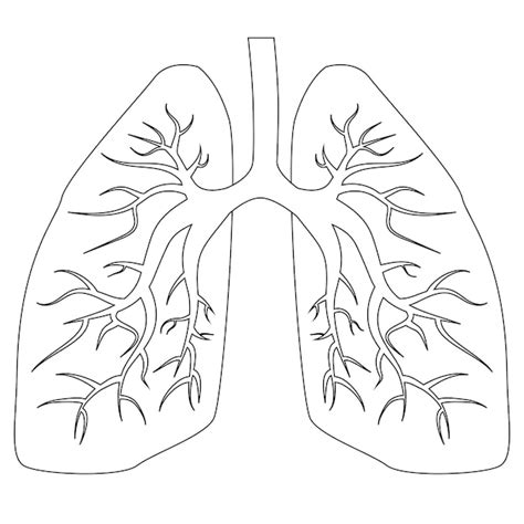 Immagini di Polmoni disegno - Download gratuiti su Freepik
