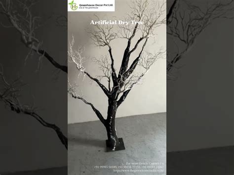 Wish Trees - Artificial Wish Tree Model WT/101 Manufacturer from New Delhi