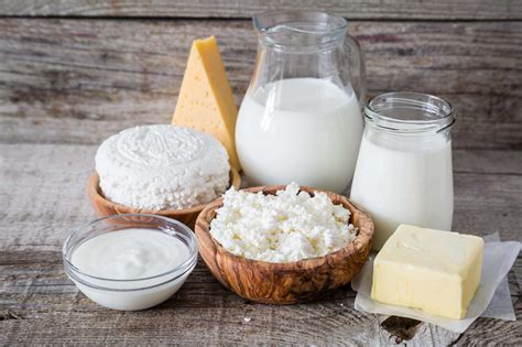 Fermented Dairy Products Market: Riding the Health Wave with ...