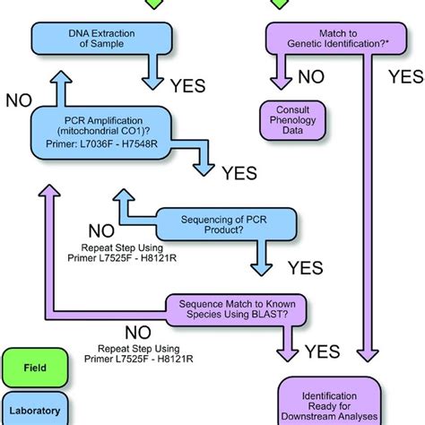 Image result for DNA Barcoding Methods