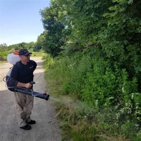 6 Key Benefits of Professional Mosquito & Tick Control Services