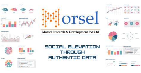 Morsel’s secret of Successfully Completing Data Collection Projects ...