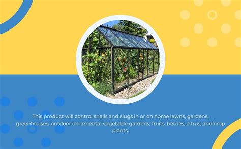 Green Dragon's Home Solutions | Natural & Organic | Snail Magic, Garden ...