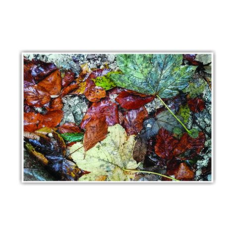 Anne Print Solutions Leave Poster (Without Frame) For Wall Poster Home ...