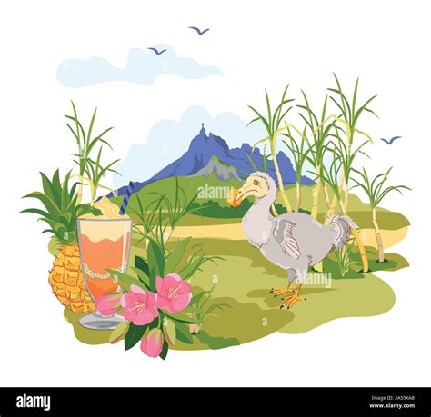 Mauritius landscape and famous landmarks of the island in flat style. Vector sugar cane, Mount ...