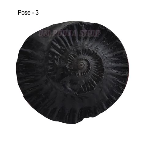Buy Shri Narayan Vishnu Shaligram Stone online