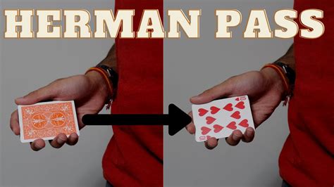 Herman Pass Tutorial 的图像结果