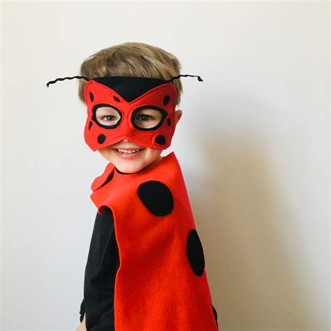Kids Ladybird Costume, Adult Ladybug Costume, World Book Day Ladybird ...