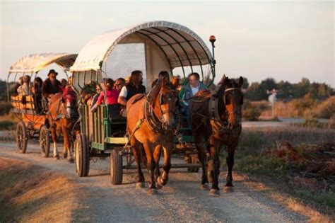 L'Attelage de la Vie (Saint-Hilaire-de-Riez) - 2022 What to Know Before ...