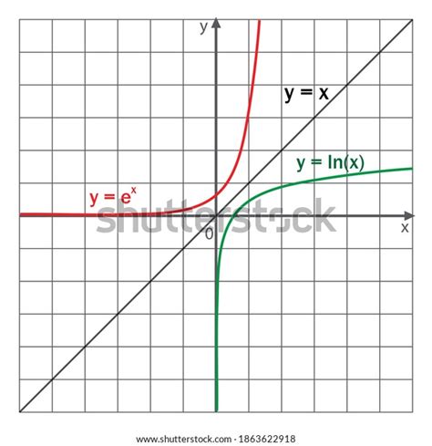 Logarithmic Exponential Functions Graphs Stock Vector (Royalty Free) 1863622918 | Shutterstock
