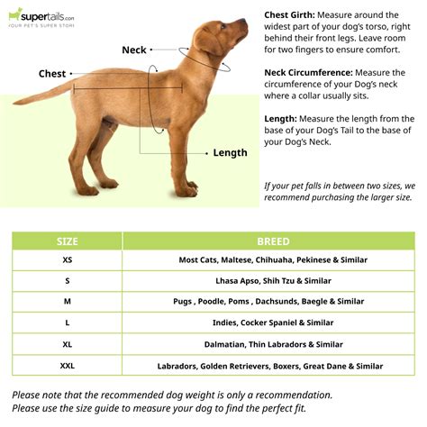 Petsnugs Water Resistant Jackets for Dogs and Cats (Rust) | Supertails